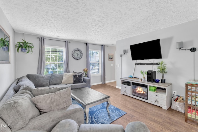8361 Mcguire Dr, Raleigh, NC 27616 - living room featuring wood finished floors and a textured ceiling