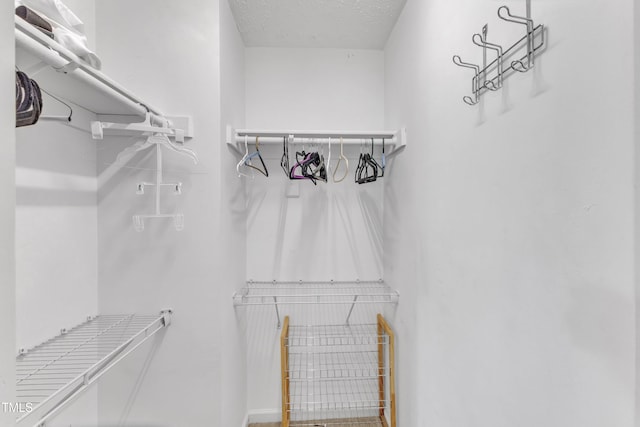 8361 Mcguire Dr, Raleigh, NC 27616 - view of walk in closet