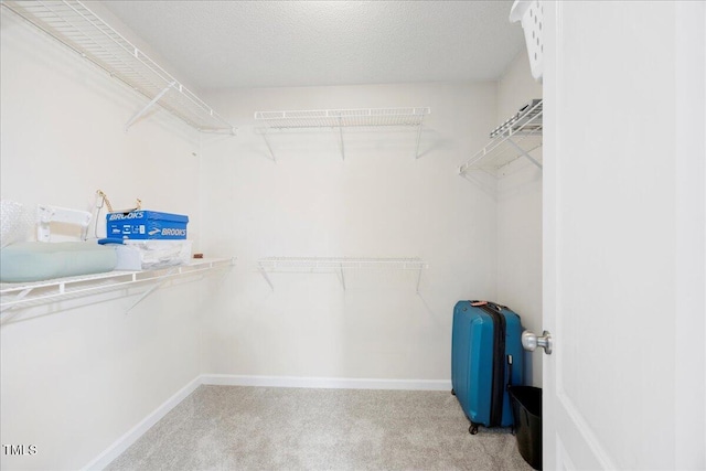 4805 Castle Crest Ct, Raleigh, NC 27616 - spacious closet with light carpet