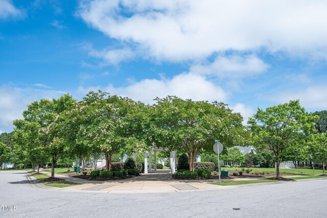1633 Lakestone Village Ln, Fuquay Varina, NC 27526 - photo 47