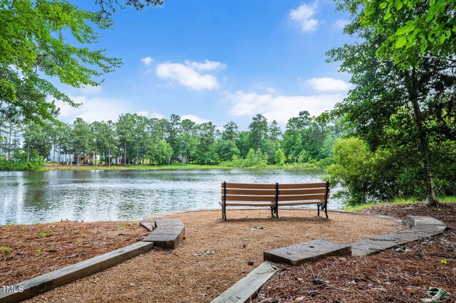 1633 Lakestone Village Ln, Fuquay Varina, NC 27526 - photo 49