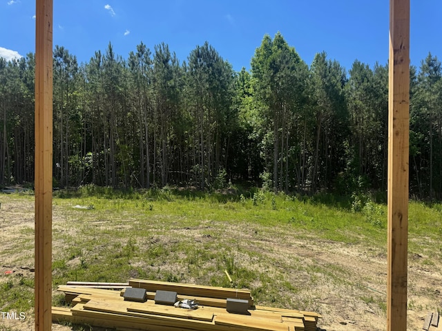 163 Batten Hill Ln, Selma, NC 27576 - view of nature