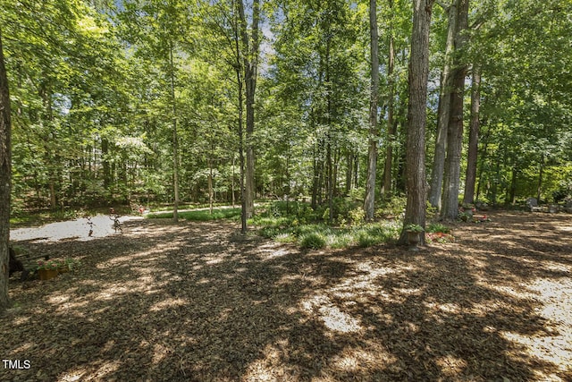 121 Goldenthal Ct, Cary, NC 27519 - photo 28