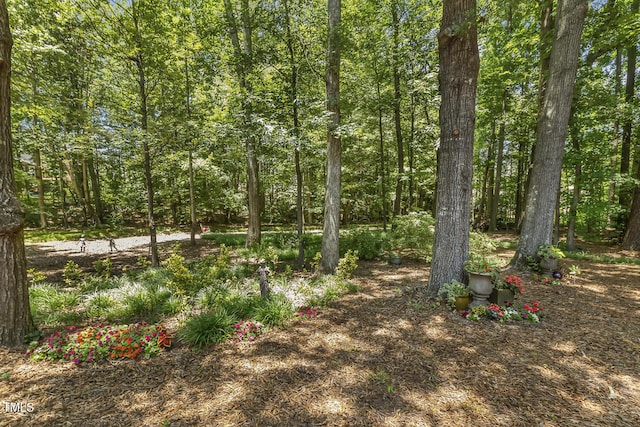 121 Goldenthal Ct, Cary, NC 27519 - photo 29