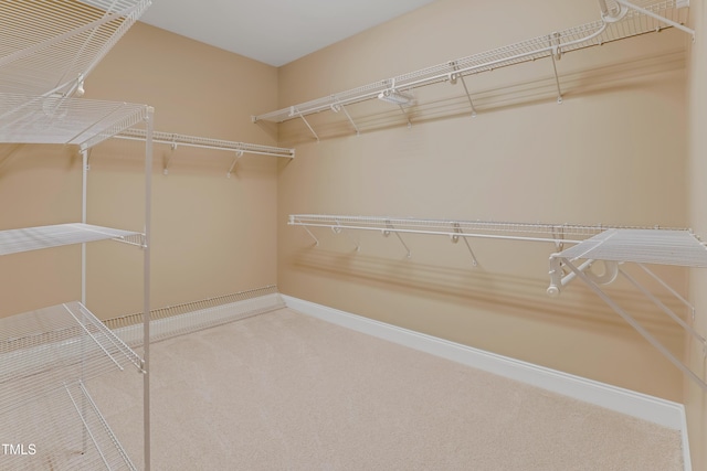225 Norwalk St, Holly Springs, NC 27540 - spacious closet with carpet floors