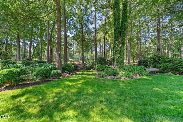 200 Greensview Dr, Cary, NC 27518 - photo 30
