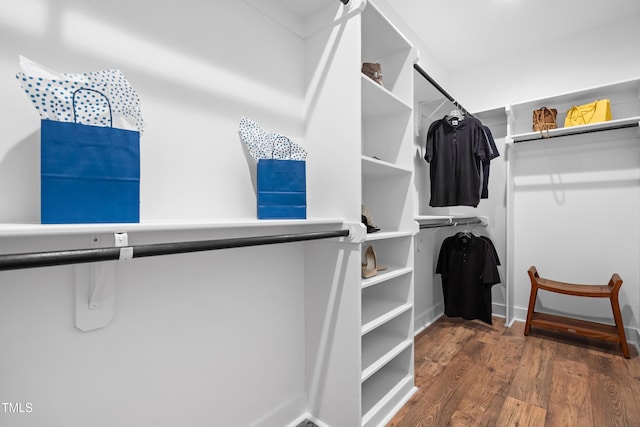 1004 Snow Peak Ct, Raleigh, NC 27603 - walk in closet with wood finished floors