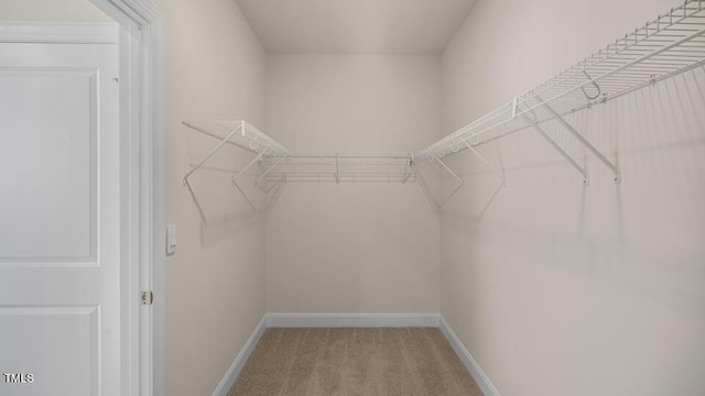 194 Gilmer St, Fuquay Varina, NC 27526 - spacious closet with carpet floors