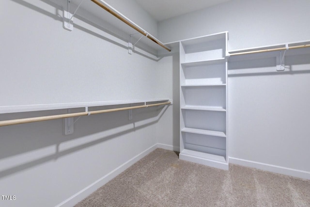 2309 Redbridge Ln, Apex, NC 27502 - walk in closet with carpet floors