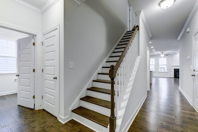 2309 Redbridge Ln, Apex, NC 27502 - stairway with a ceiling fan, wood-type flooring, ornamental molding, and baseboards