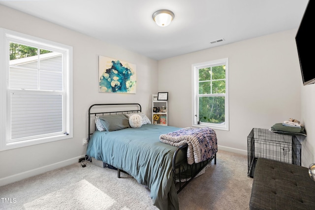 389 Whetstone Dr, Angier, NC 27501 - carpeted bedroom featuring baseboards