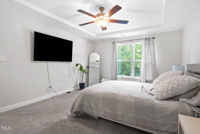 389 Whetstone Dr, Angier, NC 27501 - bedroom with a raised ceiling, carpet floors, baseboards, and a ceiling fan