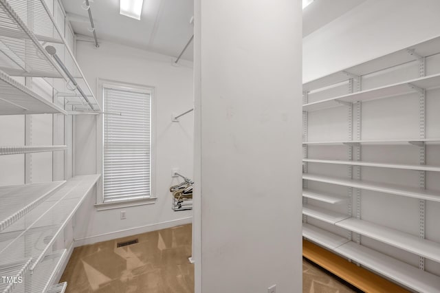 100 Sundance Pl, Chapel Hill, NC 27514 - spacious closet featuring carpet