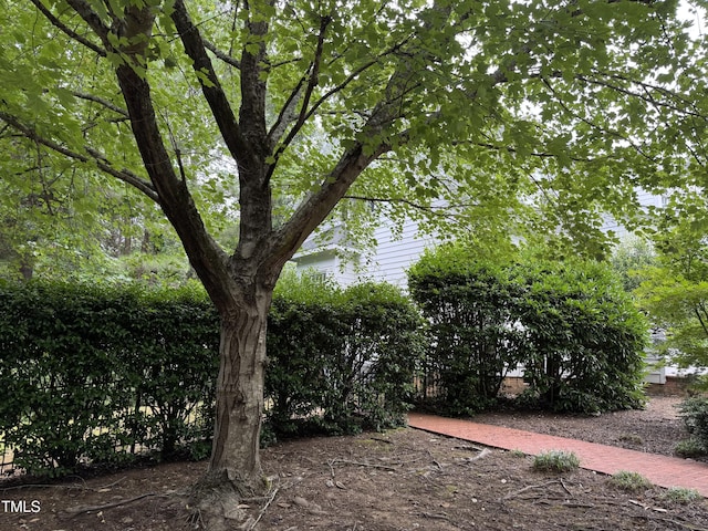 100 Sundance Pl, Chapel Hill, NC 27514 - view of yard