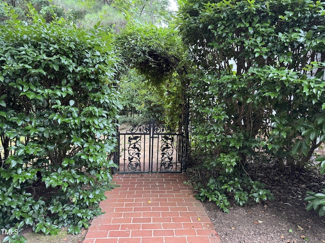 100 Sundance Pl, Chapel Hill, NC 27514 - view of gate
