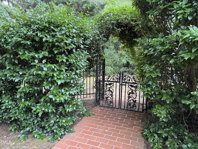 100 Sundance Pl, Chapel Hill, NC 27514 - view of gate