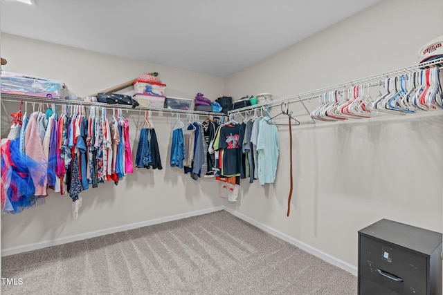 1939 Mostyn Ln, Apex, NC 27502 - walk in closet with carpet floors