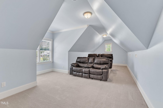 105 Somerley Dr, Garner, NC 27529 - additional living space featuring carpet flooring, vaulted ceiling, and baseboards