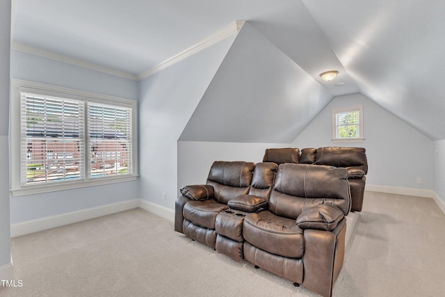 105 Somerley Dr, Garner, NC 27529 - home theater featuring light colored carpet, baseboards, and lofted ceiling