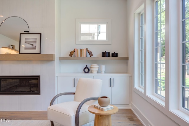 2114 Cowper Dr, Raleigh, NC 27608 - living area with light wood-style flooring, plenty of natural light, and a glass covered fireplace