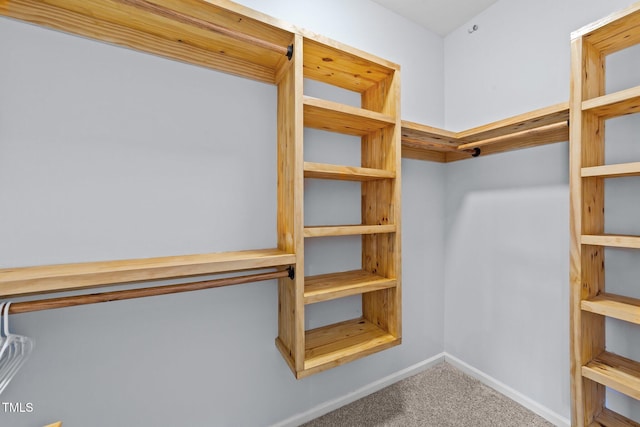 540 Pine Ridge Rd, Zebulon, NC 27597 - walk in closet with carpet flooring