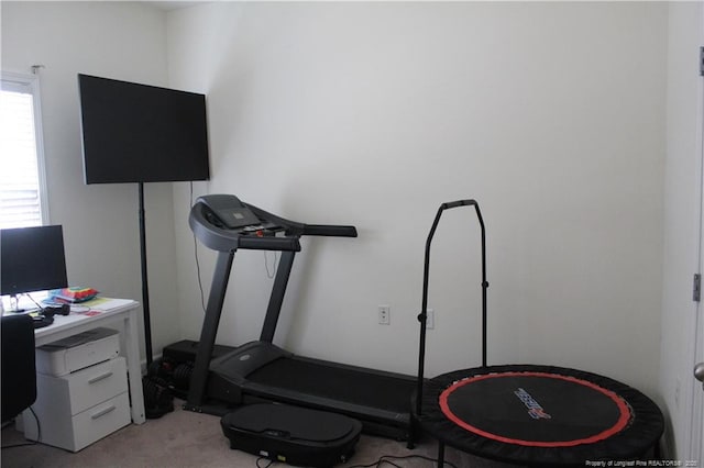 625 Marshtree Ln Unit 101, Fayetteville, NC 28314 - exercise room with light colored carpet
