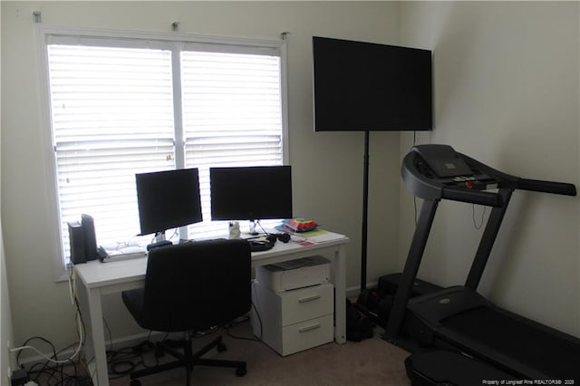 625 Marshtree Ln Unit 101, Fayetteville, NC 28314 - home office with carpet