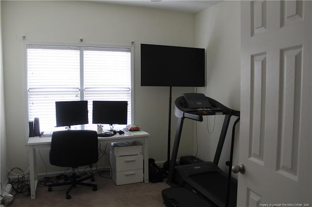 625 Marshtree Ln Unit 101, Fayetteville, NC 28314 - office area featuring carpet flooring