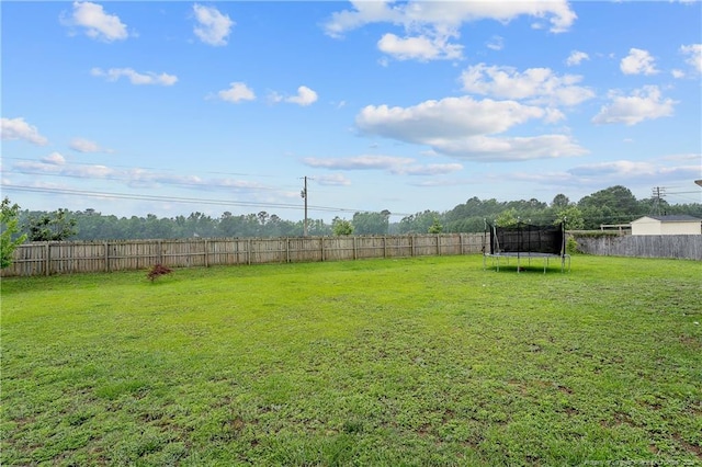 4943 Lion Heart Ln, Parkton, NC 28371 - view of yard with a trampoline