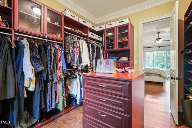 3324 Thomas Rd, Raleigh, NC 27607 - walk in closet with ceiling fan and wood finished floors