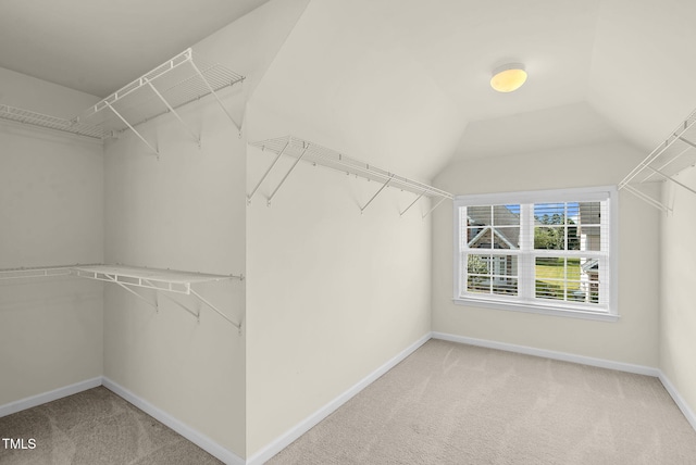 106 Elmsford St, Durham, NC 27703 - spacious closet with carpet flooring and vaulted ceiling