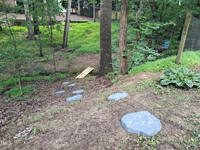905 Balmoral Dr, Cary, NC 27511 - view of yard