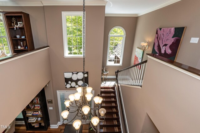 126 Solterra Way, Durham, NC 27705 - photo 12