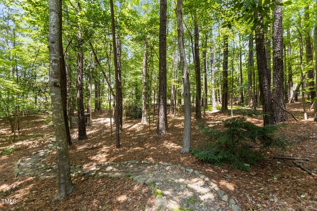 215 Collinson Dr, Chapel Hill, NC 27514 - photo 38