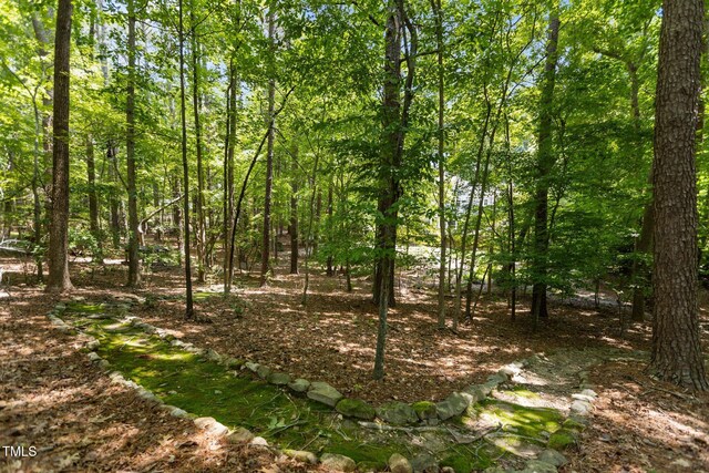 215 Collinson Dr, Chapel Hill, NC 27514 - photo 39