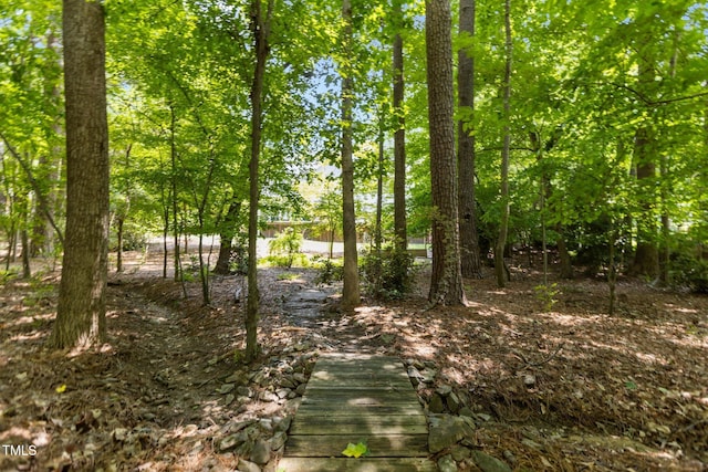 215 Collinson Dr, Chapel Hill, NC 27514 - photo 40