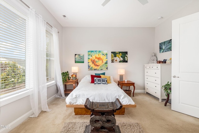47 Coventry Ln, Chapel Hill, NC 27516 - bedroom featuring multiple windows, light carpet, and baseboards