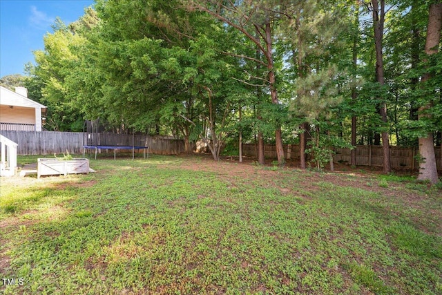 121 River Hills Dr, Clayton, NC 27527 - view of yard featuring a trampoline