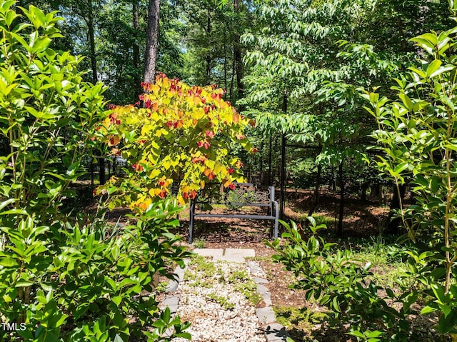 676 Whitehurst, Pittsboro, NC 27312 - photo 57