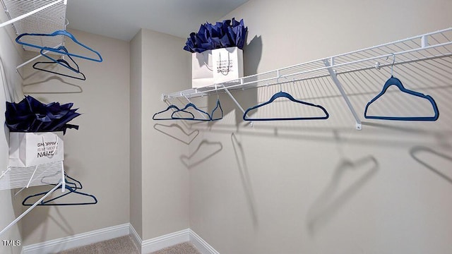 1021 Dillon Lake Dr, Knightdale, NC 27545 - walk in closet with carpet