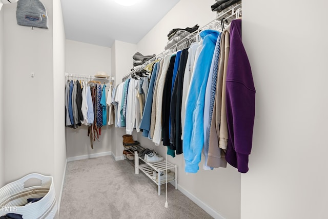 66 Arlie Ln, Lillington, NC 27546 - spacious closet with carpet flooring