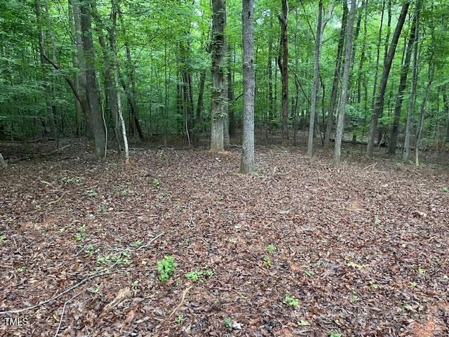 2450 Maeve Ln, Durham, NC 27705