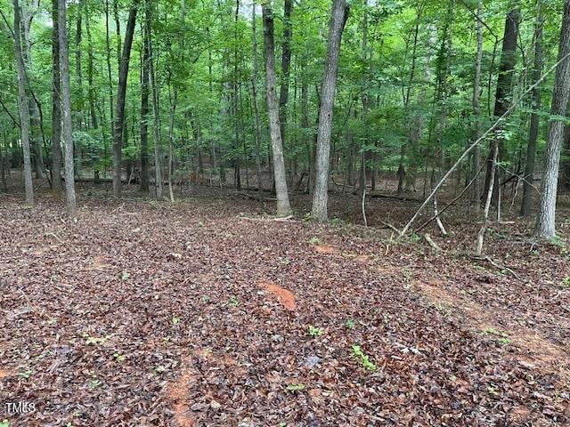 2450 Maeve Ln, Durham, NC 27705