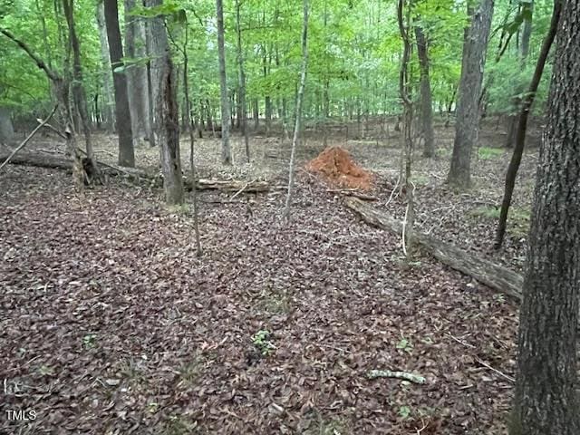 2450 Maeve Ln, Durham, NC 27705