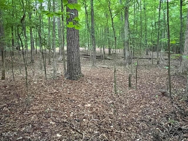 2450 Maeve Ln, Durham, NC 27705