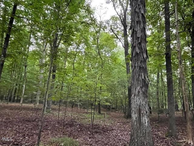 2450 Maeve Ln, Durham, NC 27705