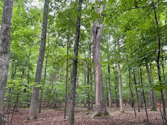 2450 Maeve Ln, Durham, NC 27705