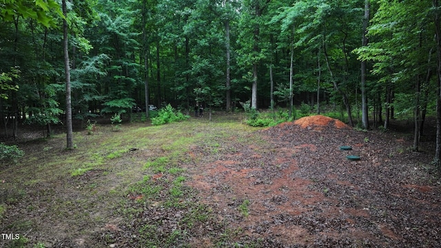2450 Maeve Ln, Durham, NC 27705