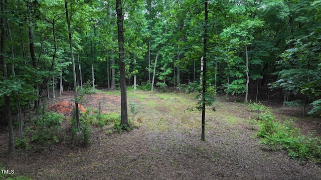 2450 Maeve Ln, Durham, NC 27705