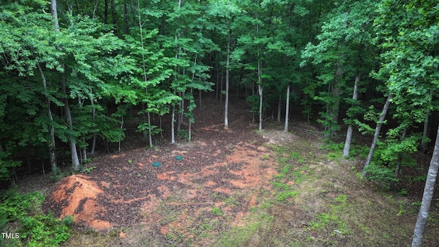 2450 Maeve Ln, Durham, NC 27705